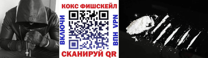 где можно купить   Тосно  COCAIN Columbia 