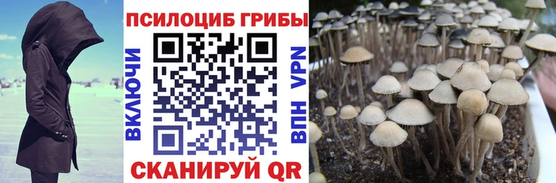 blacksprut ссылки магазин продажи Тосно Галлюциногенные грибы прущие грибы